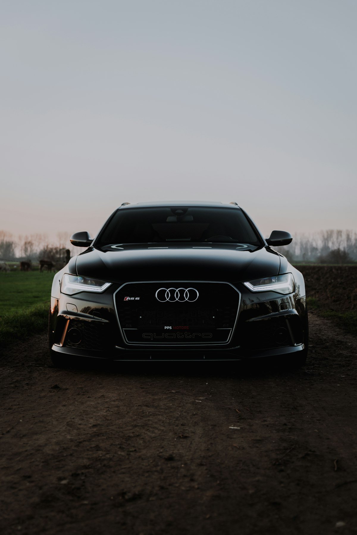 SUV chauffeur service